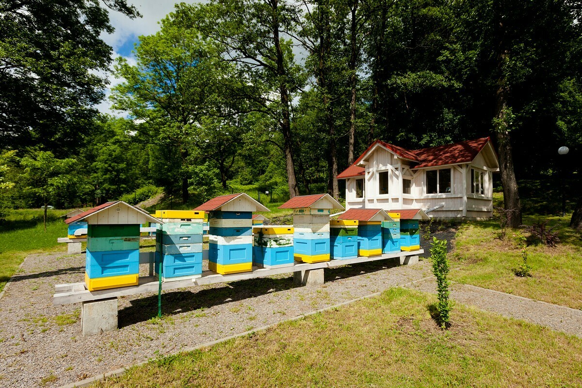 Centrum Pulmonologii i Torakochirurgii, szpital bystra, szpital w bystrej, fotografia reklamowa bielsko-biala, zdjecia architektury bielsko, fotografia budynkow slask, zdjecia produktowe, reklama, fotograf reklamowy czechowice, fotografia reklamowa bielsko, fotograf slask, fotografia reklama bielsko, fotografia komercyjna, fotografia kreatytwna, Anna i Jacek Bieniek, fotografia wizerunek, fotografia czechowice, fotograf czechowice, fotografia bielsko, zdjecia slask, www.magiaobrazu.com