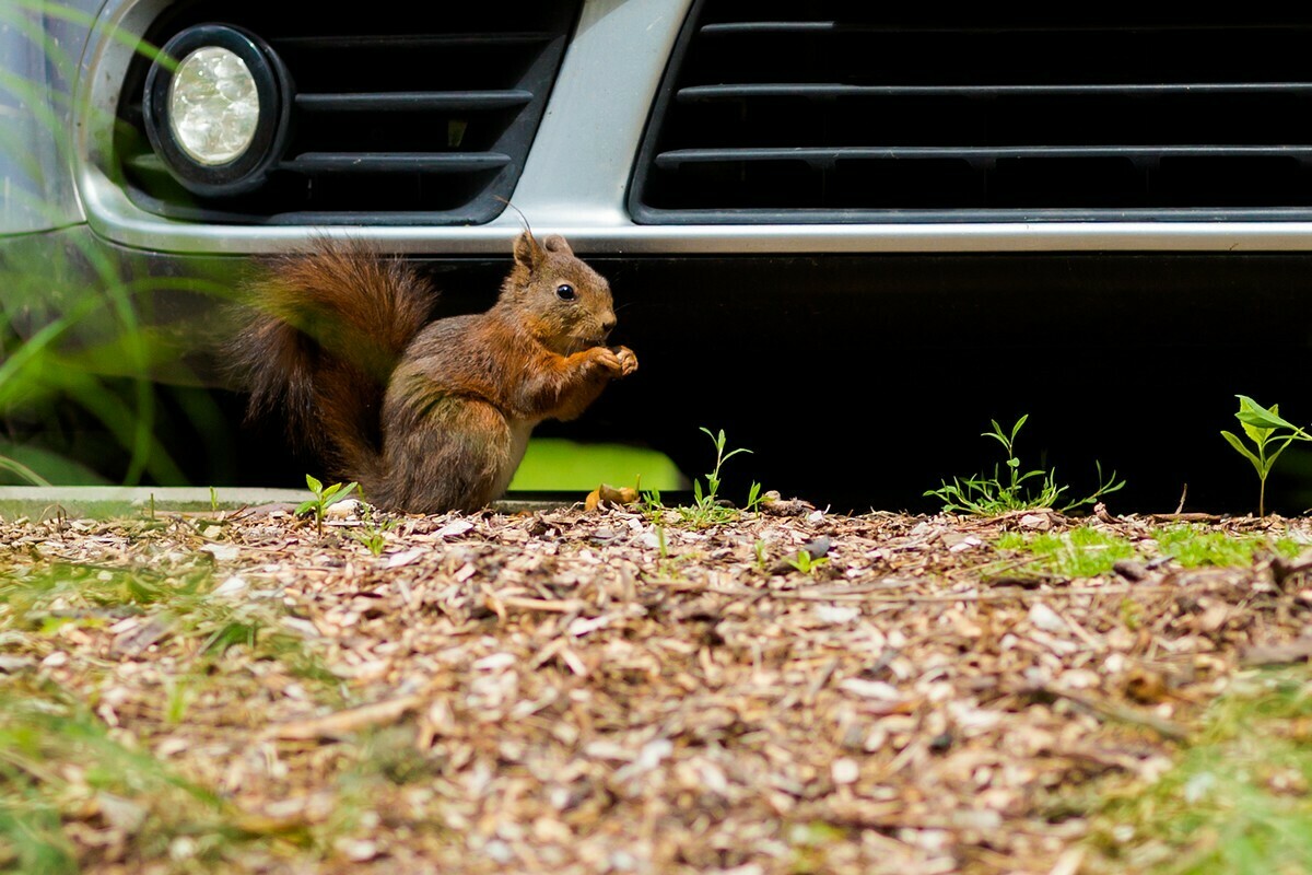 Centrum Pulmonologii i Torakochirurgii, szpital bystra, szpital w bystrej, fotografia reklamowa bielsko-biala, zdjecia architektury bielsko, fotografia budynkow slask, zdjecia produktowe, reklama, fotograf reklamowy czechowice, fotografia reklamowa bielsko, fotograf slask, fotografia reklama bielsko, fotografia komercyjna, fotografia kreatytwna, Anna i Jacek Bieniek, fotografia wizerunek, fotografia czechowice, fotograf czechowice, fotografia bielsko, zdjecia slask, www.magiaobrazu.com