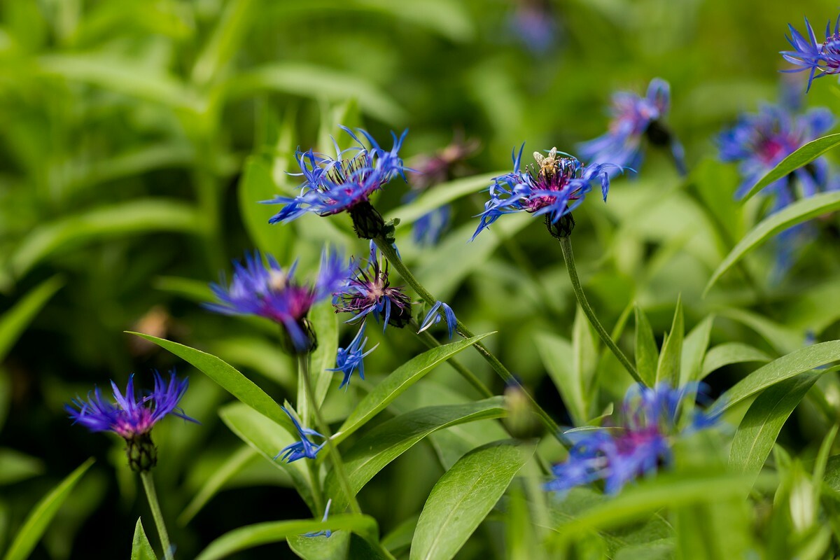 Centrum Pulmonologii i Torakochirurgii, szpital bystra, szpital w bystrej, fotografia reklamowa bielsko-biala, zdjecia architektury bielsko, fotografia budynkow slask, zdjecia produktowe, reklama, fotograf reklamowy czechowice, fotografia reklamowa bielsko, fotograf slask, fotografia reklama bielsko, fotografia komercyjna, fotografia kreatytwna, Anna i Jacek Bieniek, fotografia wizerunek, fotografia czechowice, fotograf czechowice, fotografia bielsko, zdjecia slask, www.magiaobrazu.com