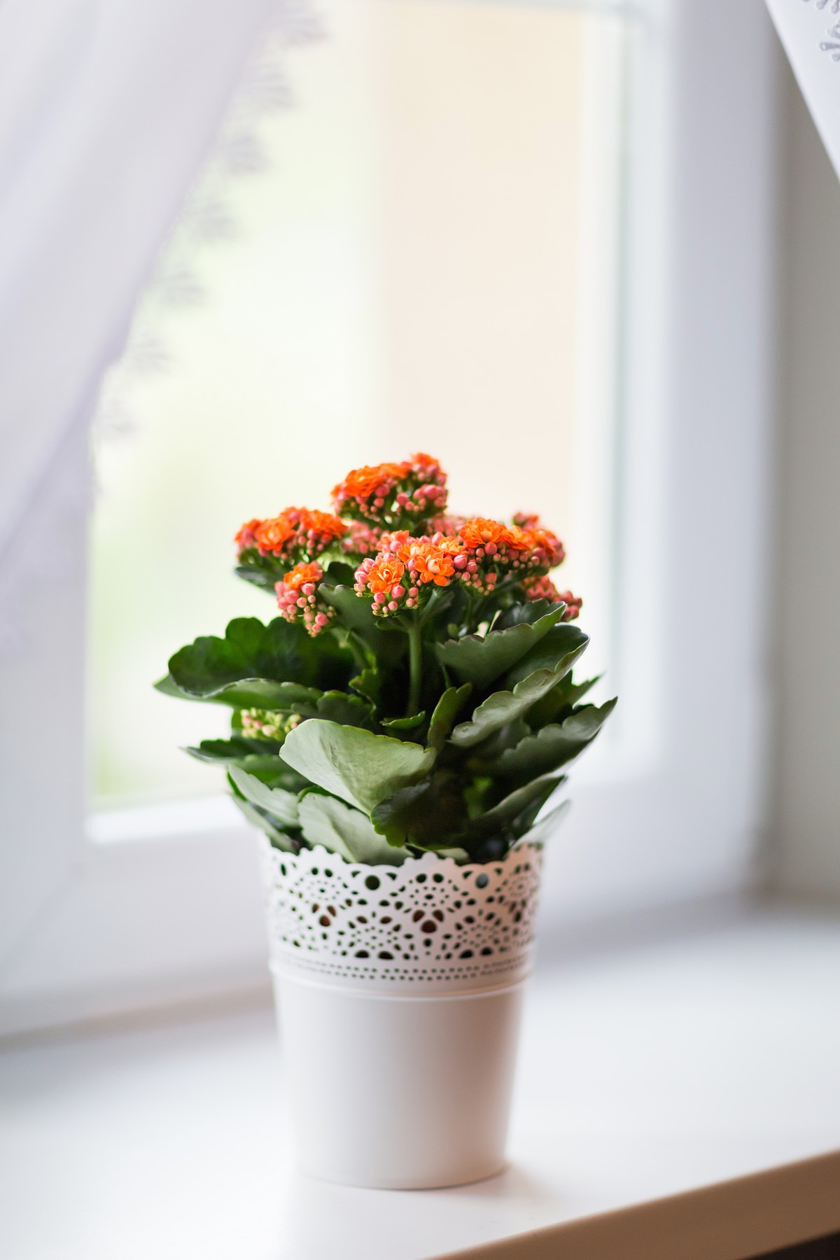 apartamenty bystra, hotel bystra, szpital w bystrej, zdjecia apartamentow bielsko, zdjecia hoteli bielsko, zdjecia dla hoteli slask, fotografia hoteli slask, fotograf hotel slask, Zdjecia architektury Bielsko. Fotografowanie wnetrz mieszkan bielsko, zdjecia dla hoteli slask, fotografowanie nieruchomosci bielsko, zdjecia nieruchomosci slask, fotografia architektury slask, magiaobrazu, dobry fotograf bielsko, fotografia reklamowa bielsko, zdjecia reklamowe bielsko, zdjecia reklamowe slask, zdjecia mieszkan bielsko, fotografia reklamowa slask