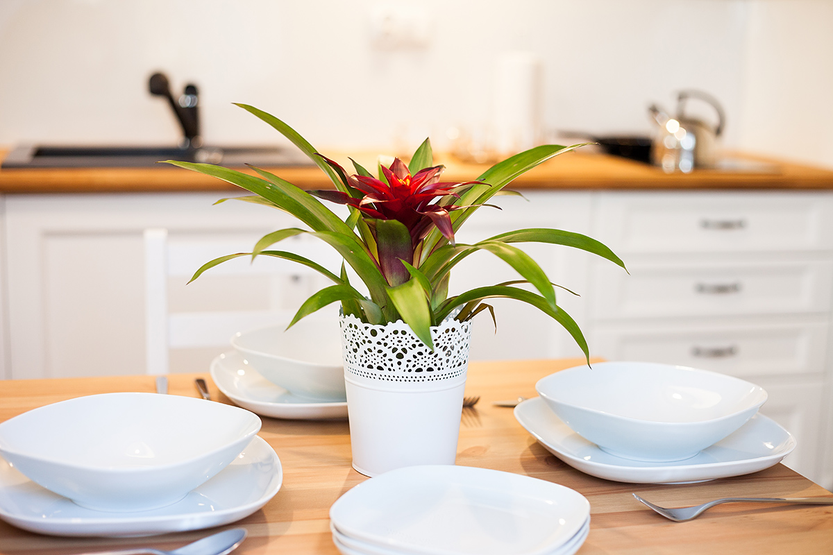 apartamenty bystra, hotel bystra, szpital w bystrej, zdjecia apartamentow bielsko, zdjecia hoteli bielsko, zdjecia dla hoteli slask, fotografia hoteli slask, fotograf hotel slask, Zdjecia architektury Bielsko. Fotografowanie wnetrz mieszkan bielsko, zdjecia dla hoteli slask, fotografowanie nieruchomosci bielsko, zdjecia nieruchomosci slask, fotografia architektury slask, magiaobrazu, dobry fotograf bielsko, fotografia reklamowa bielsko, zdjecia reklamowe bielsko, zdjecia reklamowe slask, zdjecia mieszkan bielsko, fotografia reklamowa slask