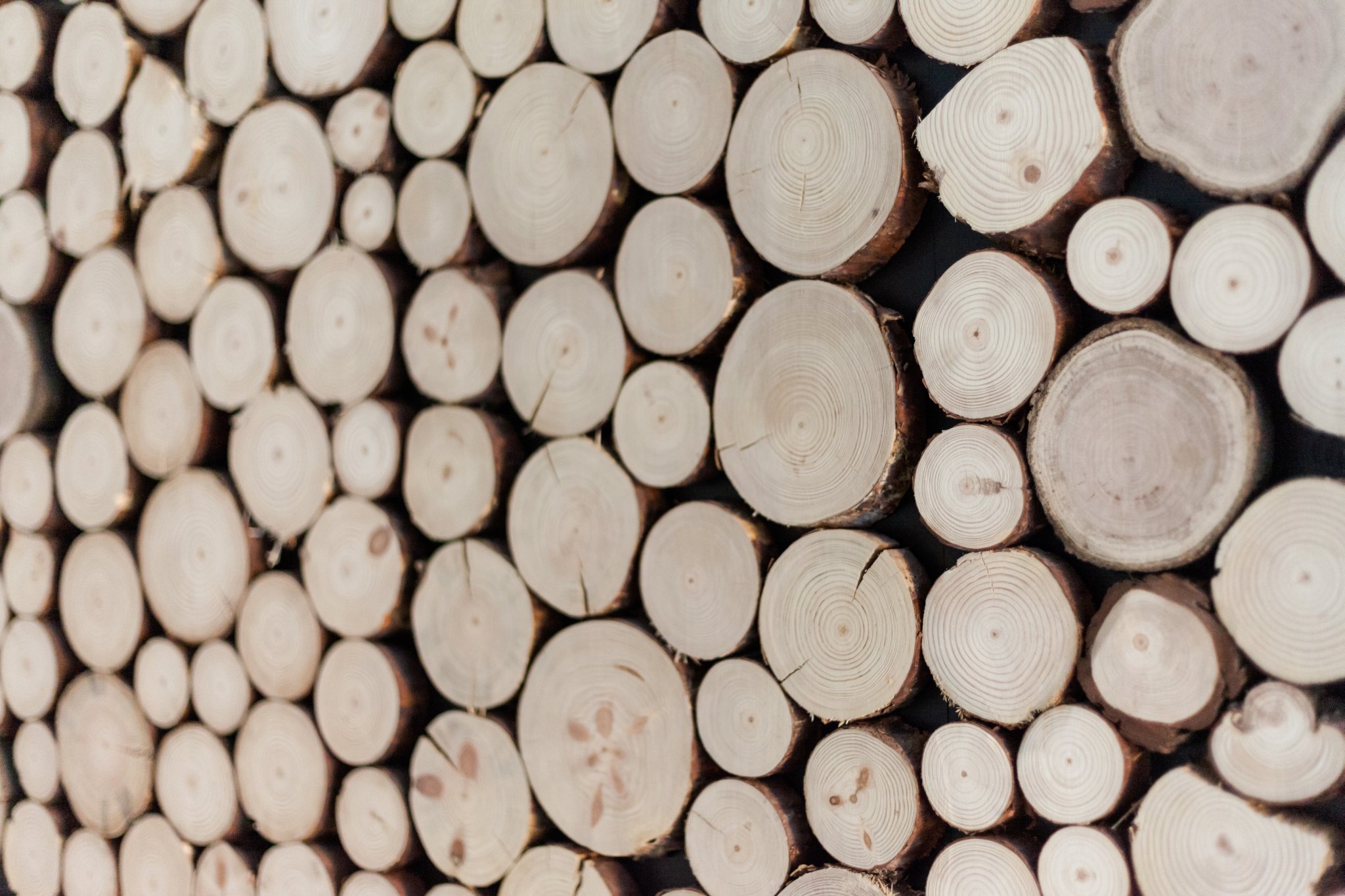 apartamenty szczyrk, willa marko szczyrk, sesja apartamentow szczyrk, zdjecia apartamentow bielsko, zdjecia hoteli bielsko, zdjecia dla hoteli slask, fotografia hoteli slask, fotograf hotel slask, Zdjecia architektury Bielsko, Fotografowanie wnetrz mieszkan bielsko, zdjecia dla hoteli slask, fotografowanie nieruchomosci bielsko, sesje architektury pszczyna, zdjecia mieszkan pszczyna, zdjecia nieruchomosci slask, fotografia architektury slask, magiaobrazu, dobry fotograf bielsko, fotografia reklamowa bielsko, zdjecia reklamowe bielsko, zdjecia reklamowe slask, zdjecia mieszkan bielsko, fotografia reklamowa slask