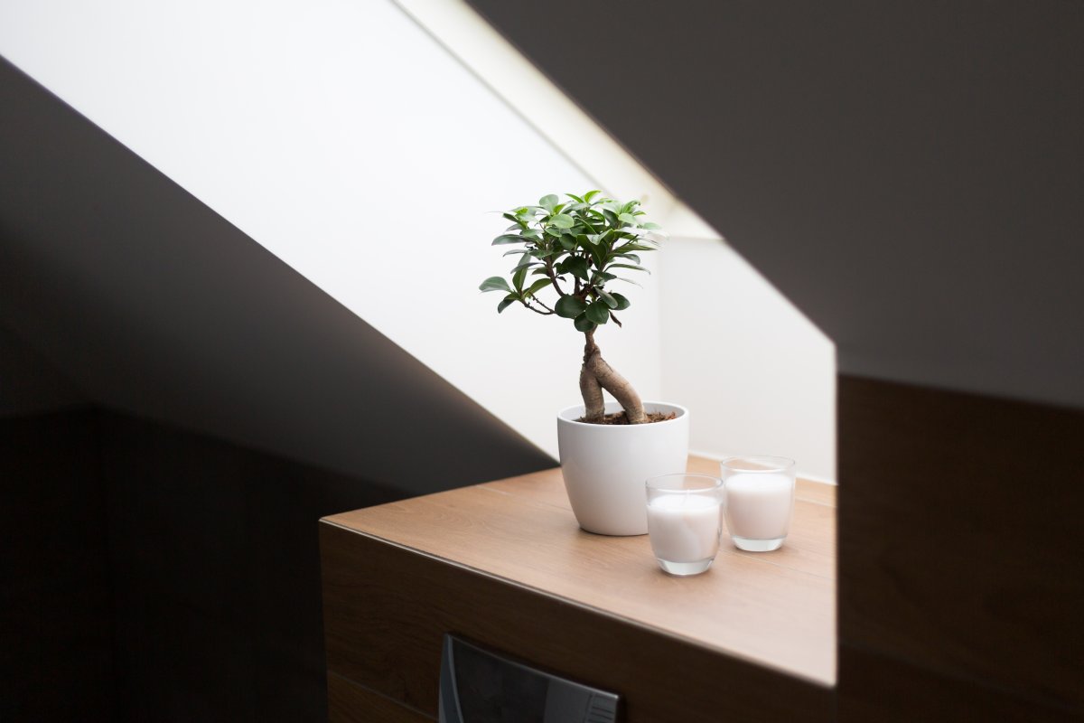 Profesjonalne sesje domow Pszczyna Zdjecia architektury Pszczyna, profesjonalne zdjecia mieszkan bielsko, fotografia mieszkan slask, zdjecia domow bielsko, fotografia domow bielsko, profesjonalne sesje mieszkan bielsko, profesjonalne sesja mieszkan slask, Fotografowanie wnetrz mieszkan bielsko, zdjecia dla hoteli slask, fotografowanie nieruchomosci bielsko, zdjecia nieruchomosci slask, fotografia architektury slask, magiaobrazu, dobry fotograf bielsko, fotografia reklamowa bielsko, zdjecia reklamowe bielsko, zdjecia reklamowe slask, zdjecia mieszkan bielsko, fotografia reklamowa slask