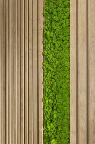 Fotografia reklamowa 18 Zdjęcia kuchni dla producenta mebli Bielsko - piękne jasne wnętrze z dodatkiem naturalnych kwiatów